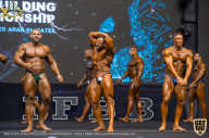 IFBB Чемпионат мира по бодибилдингу - 2019