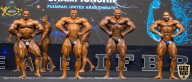 IFBB Чемпионат мира по бодибилдингу - 2019