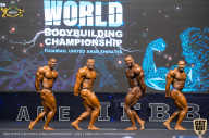 IFBB Чемпионат мира по бодибилдингу - 2019