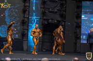 IFBB Чемпионат мира по бодибилдингу - 2019