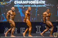 IFBB Чемпионат мира по бодибилдингу - 2019