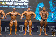 IFBB Чемпионат мира по бодибилдингу - 2019