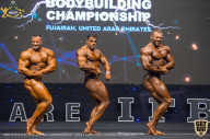 IFBB Чемпионат мира по бодибилдингу - 2019