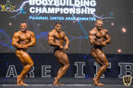 IFBB Чемпионат мира по бодибилдингу - 2019