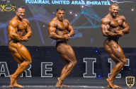 IFBB Чемпионат мира по бодибилдингу - 2019