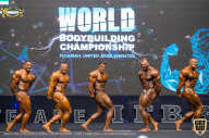 IFBB Чемпионат мира по бодибилдингу - 2019