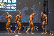 IFBB Чемпионат мира по бодибилдингу - 2019