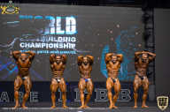 IFBB Чемпионат мира по бодибилдингу - 2019