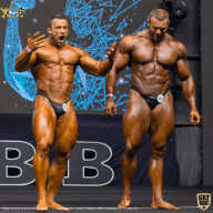 IFBB Чемпионат мира по бодибилдингу - 2019