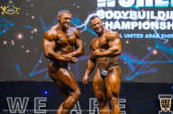 IFBB Чемпионат мира по бодибилдингу - 2019