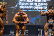 IFBB Чемпионат мира по бодибилдингу - 2019