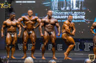 IFBB Чемпионат мира по бодибилдингу - 2019