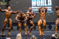 IFBB Чемпионат мира по бодибилдингу - 2019