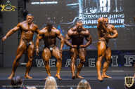 IFBB Чемпионат мира по бодибилдингу - 2019