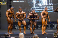 IFBB Чемпионат мира по бодибилдингу - 2019