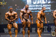 IFBB Чемпионат мира по бодибилдингу - 2019