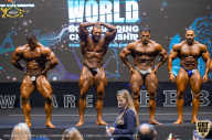 IFBB Чемпионат мира по бодибилдингу - 2019