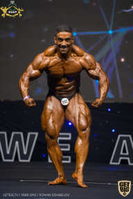 IFBB Чемпионат мира по бодибилдингу - 2019