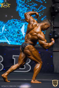 IFBB Чемпионат мира по бодибилдингу - 2019