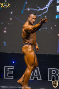 IFBB Чемпионат мира по бодибилдингу - 2019