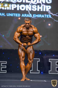 IFBB Чемпионат мира по бодибилдингу - 2019