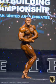 IFBB Чемпионат мира по бодибилдингу - 2019