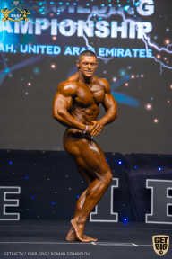 IFBB Чемпионат мира по бодибилдингу - 2019