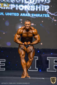 IFBB Чемпионат мира по бодибилдингу - 2019