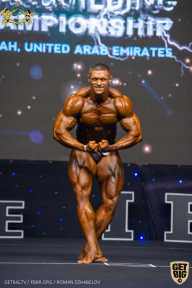 IFBB Чемпионат мира по бодибилдингу - 2019