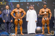 IFBB Чемпионат мира по бодибилдингу - 2019