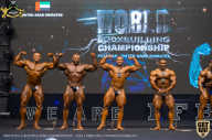 IFBB Чемпионат мира по бодибилдингу - 2019