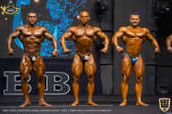 IFBB Чемпионат мира по бодибилдингу - 2019