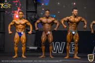 IFBB Чемпионат мира по бодибилдингу - 2019