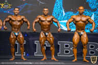 IFBB Чемпионат мира по бодибилдингу - 2019