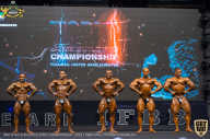 IFBB Чемпионат мира по бодибилдингу - 2019