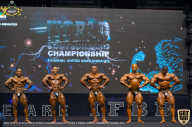 IFBB Чемпионат мира по бодибилдингу - 2019