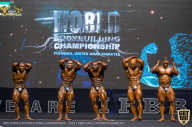 IFBB Чемпионат мира по бодибилдингу - 2019