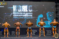 IFBB Чемпионат мира по бодибилдингу - 2019