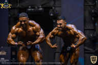 IFBB Чемпионат мира по бодибилдингу - 2019