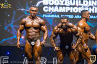 IFBB Чемпионат мира по бодибилдингу - 2019