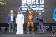 IFBB Чемпионат мира по бодибилдингу - 2019