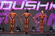 Grand Prix Dudushkin Fitness Family - 2024