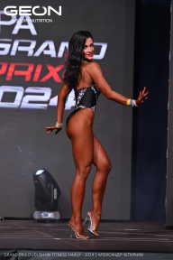 Grand Prix Dudushkin Fitness Family - 2024