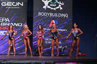 Grand Prix Dudushkin Fitness Family - 2024