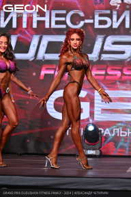 Grand Prix Dudushkin Fitness Family - 2024