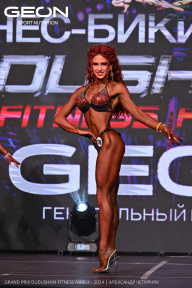 Grand Prix Dudushkin Fitness Family - 2024