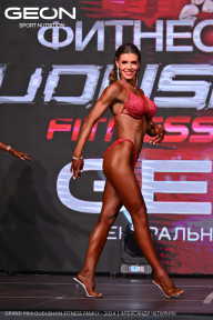 Grand Prix Dudushkin Fitness Family - 2024