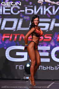 Grand Prix Dudushkin Fitness Family - 2024