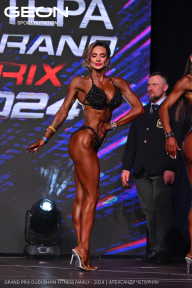 Grand Prix Dudushkin Fitness Family - 2024