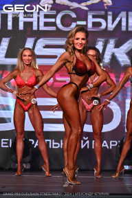 Grand Prix Dudushkin Fitness Family - 2024